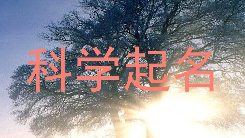 科学起名