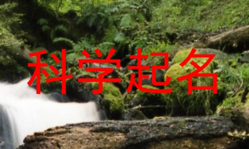 科学起名