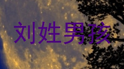 刘姓男孩