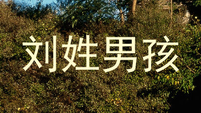 刘姓男孩