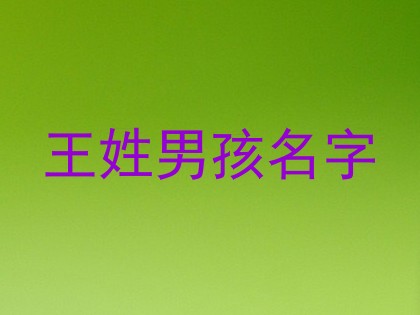 王姓男孩名字