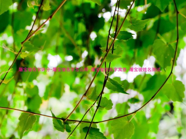 屠宝骏名字评分-屠宝骏名字怎么样-屠宝骏的名字寓意-屠宝骏姓名测试