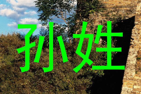 孙姓
