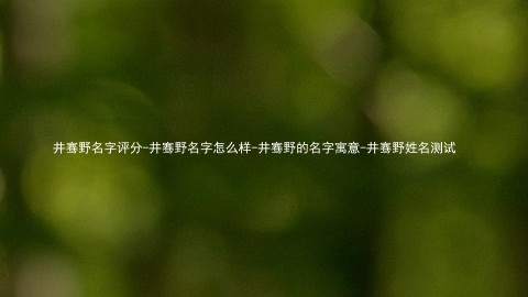 井骞野名字评分-井骞野名字怎么样-井骞野的名字寓意-井骞野姓名测试