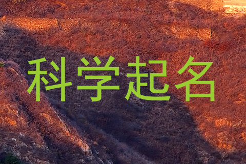科学起名