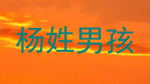 杨姓男孩