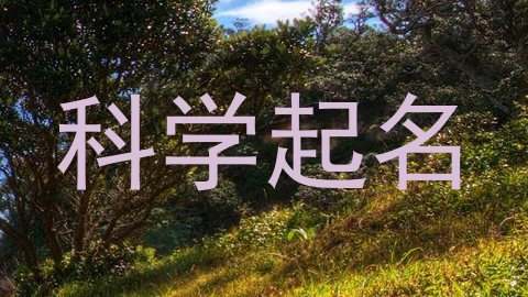 科学起名
