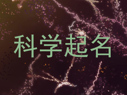 科学起名