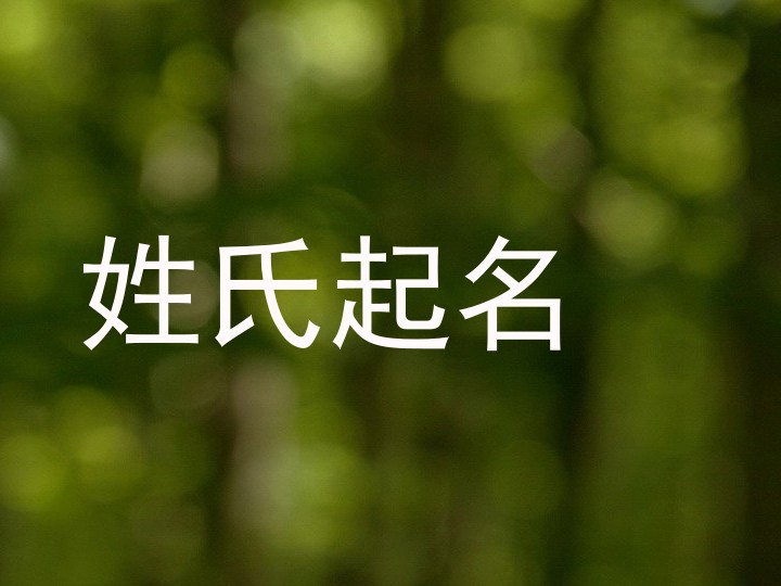 姓氏起名