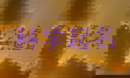 科学起名