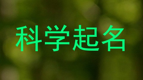 科学起名