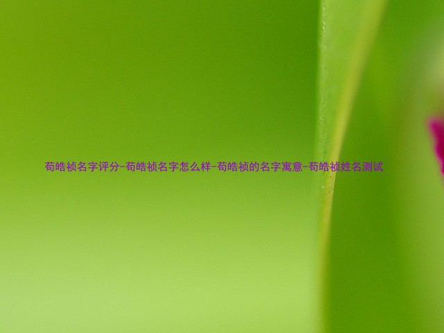 苟皓祯名字评分-苟皓祯名字怎么样-苟皓祯的名字寓意-苟皓祯姓名测试