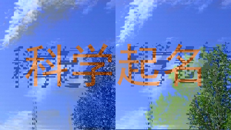 科学起名