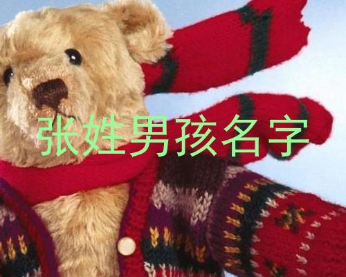 张姓男孩名字