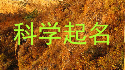 科学起名