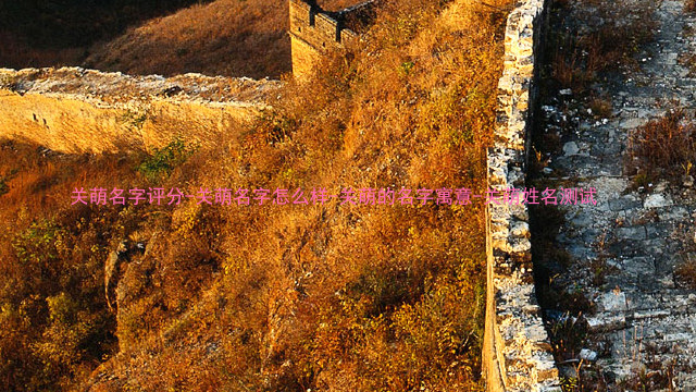 关萌名字评分-关萌名字怎么样-关萌的名字寓意-关萌姓名测试