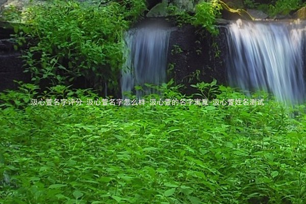 汲心萱名字评分-汲心萱名字怎么样-汲心萱的名字寓意-汲心萱姓名测试