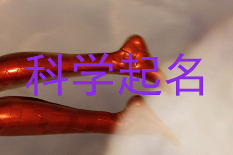 科学起名