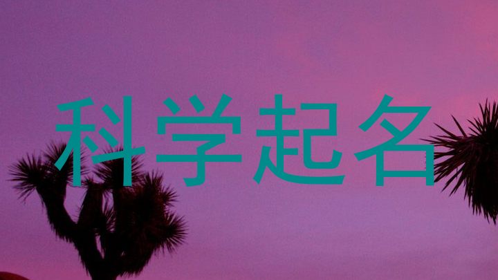 科学起名