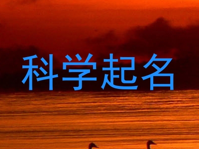 科学起名