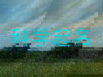 科学起名