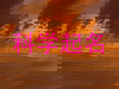 科学起名