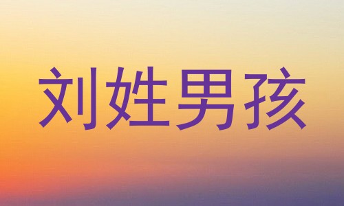 刘姓男孩