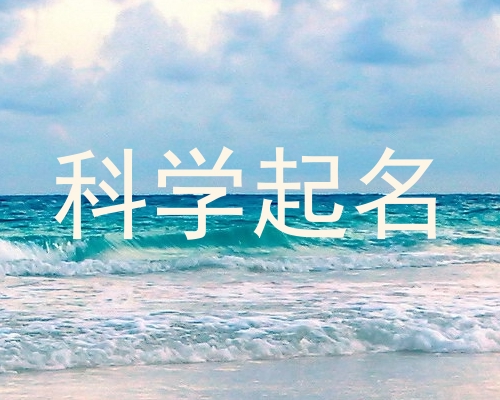 科学起名