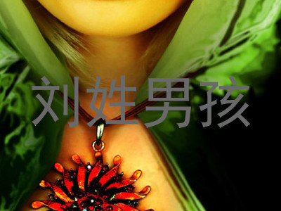 刘姓男孩