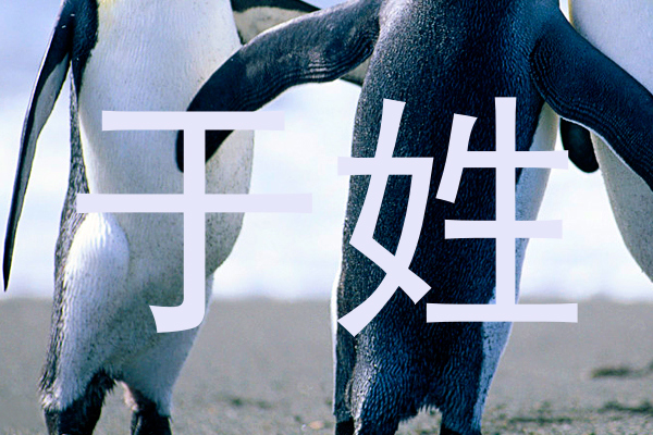 于姓