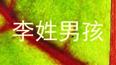李姓男孩