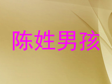 陈姓男孩