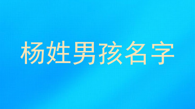 杨姓男孩名字