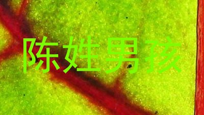 陈姓男孩