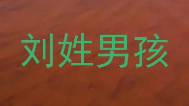 刘姓男孩