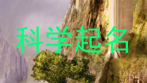 科学起名