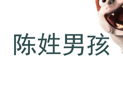 陈姓男孩