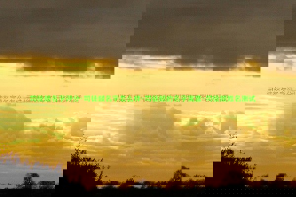 司徒燚名字评分-司徒燚名字怎么样-司徒燚的名字寓意-司徒燚姓名测试