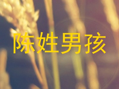 陈姓男孩