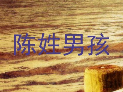 陈姓男孩