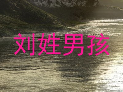 刘姓男孩