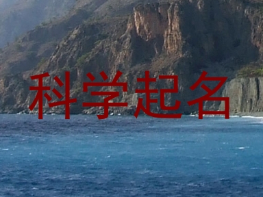 科学起名