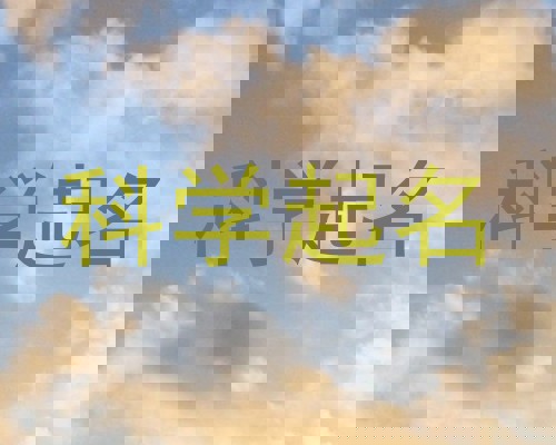 科学起名