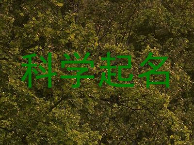 科学起名