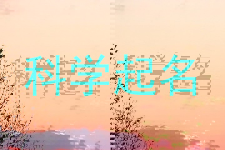 科学起名