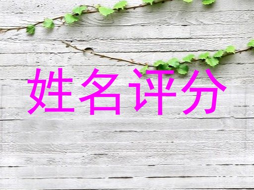 姓名评分