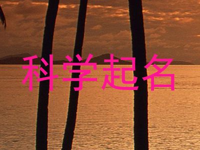 科学起名