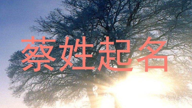 蔡姓起名