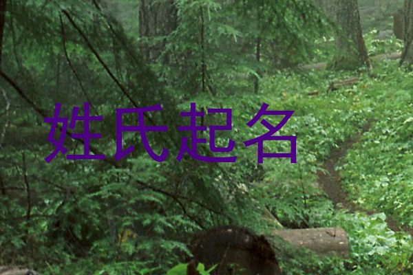 姓氏起名