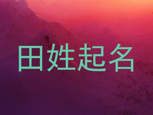田姓起名